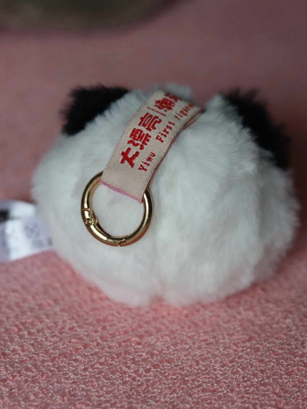 KIMIPAPA - Picture 5 of 7